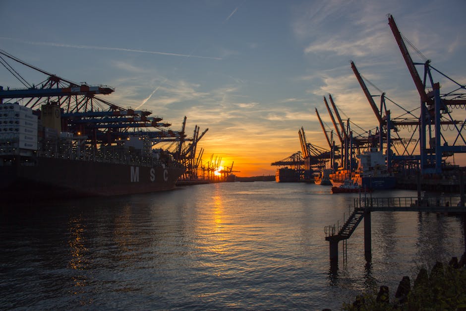 How To Properly Dispose Of Bulky Waste In Hamburg